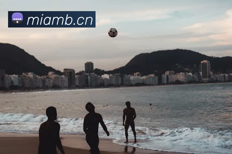 星空官方平台平台生态图